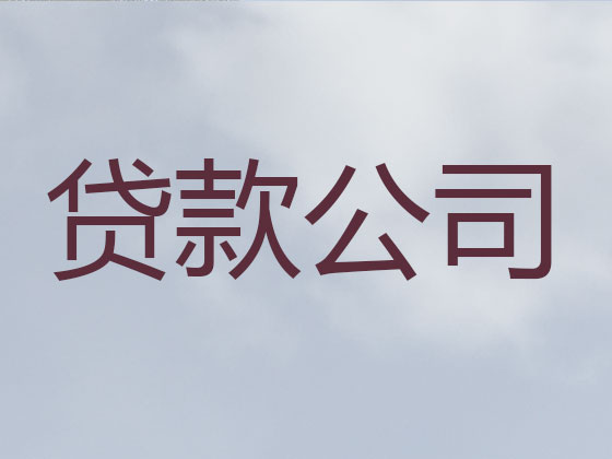隆昌市抵押担保贷款-信用贷款